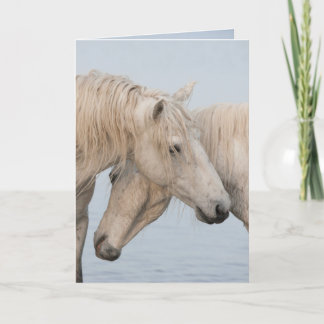 Horse Greeting Card - The Power of Two