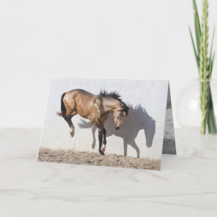 Horse Greeting Card - Touching Down