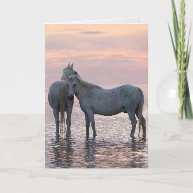 Horse Greeting Card - Two White Horses Friends (Front)