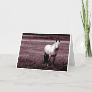 Horse Greetings Card