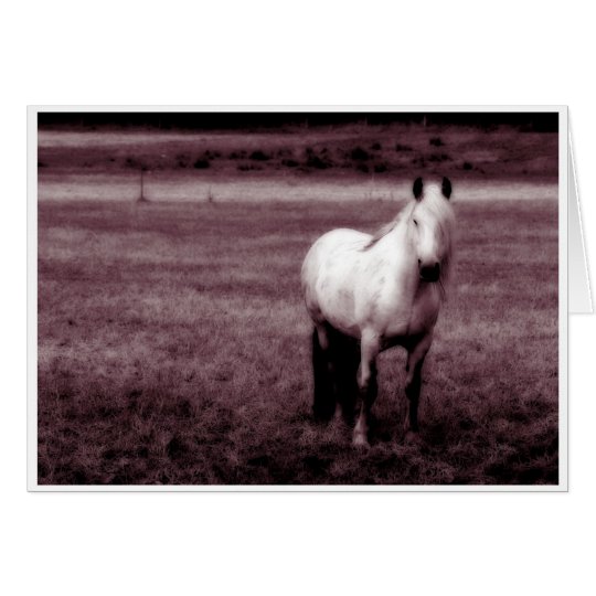 Horse Greetings Card