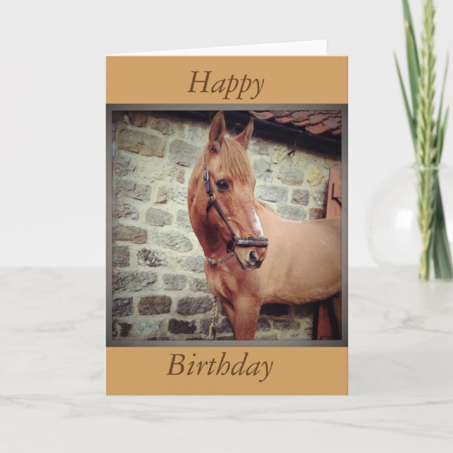 Horse Greetings Card (Front)