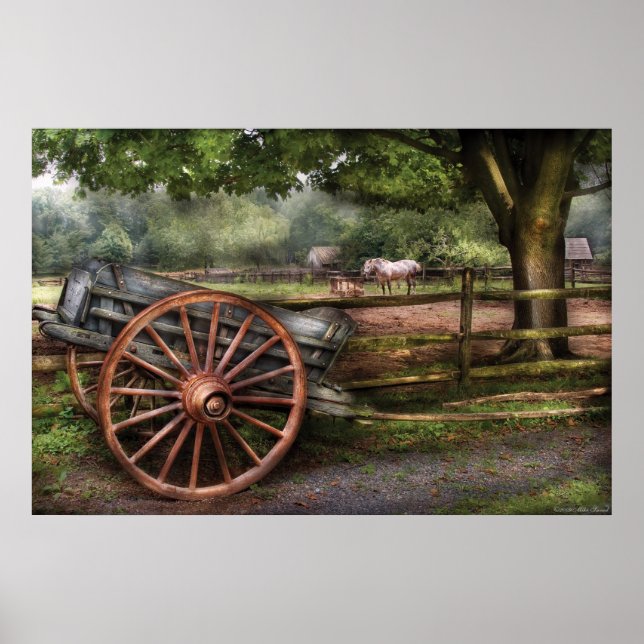Horse - Grey Mare Poster (Front)