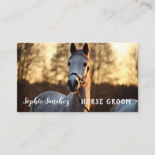 Horse Groom Photo Professional Business Card