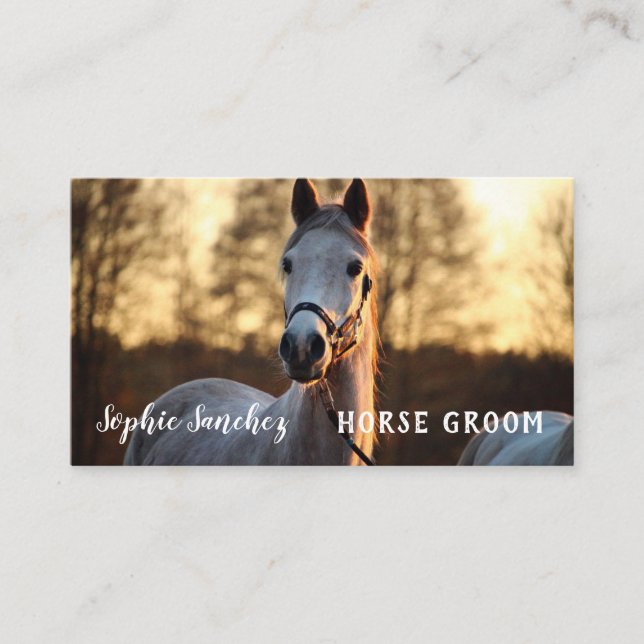 Horse Groom Photo Professional Business Card (Front)