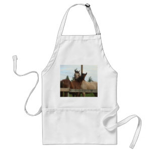 Horse Grooming Standard Apron