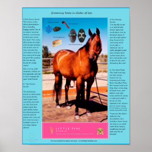 Horse Grooming Tools and How to use them Poster