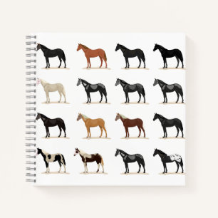 horse hair colour notebook