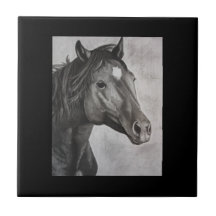 Horse Hand Drawn Art 