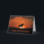 Horse Happy 30th Birthday Card<br><div class="desc">Super pretty horse card for the 30th birthday.  Wish them a happy day,  today and always!</div>