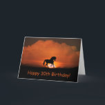 Horse Happy 30th Birthday Card<br><div class="desc">Super pretty horse card for the 30th birthday.  Wish them a happy day,  today and always!</div>