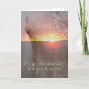Horse Happy Anniversary Card