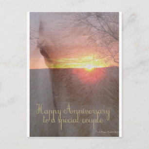 Horse Happy Anniversary Postcard