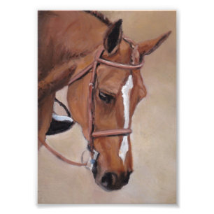 Horse Head Art Print