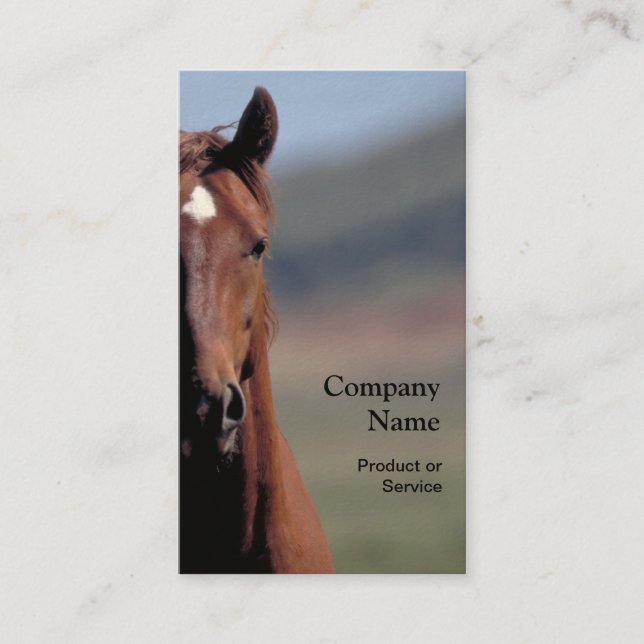 Horse head business card (Front)