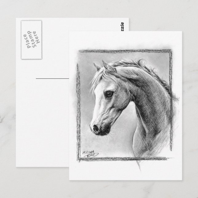 Horse head Charcoal drawing Equine art Postcard (Front/Back)