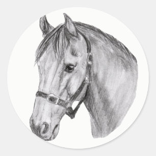 horse head classic round sticker
