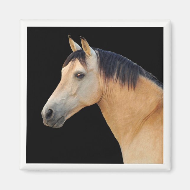 Horse Head Magnet (Front)