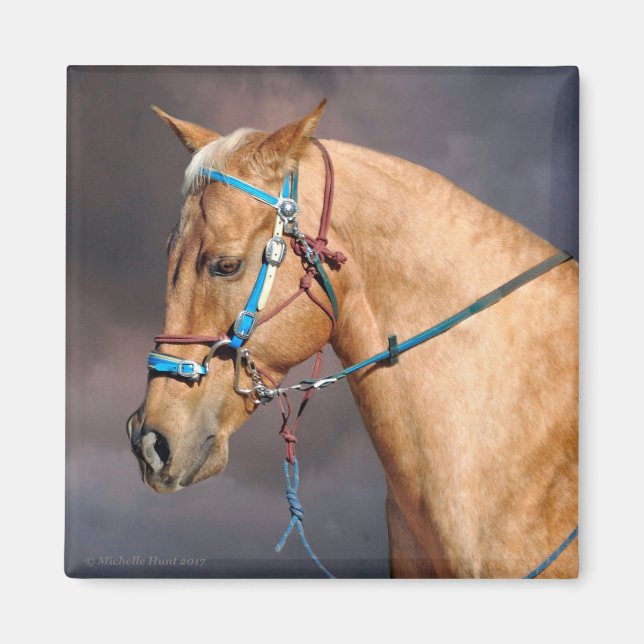 Horse Head Magnet (Front)