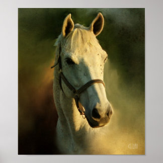 horse head portriat poster