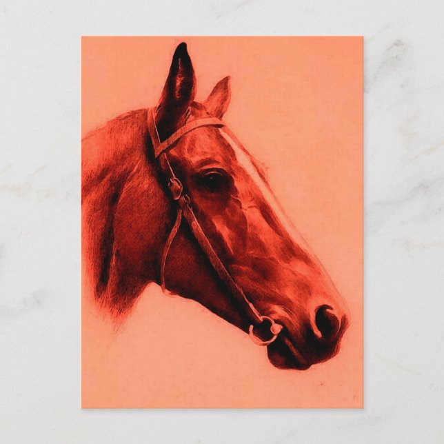 Horse Head Postcard (Front)