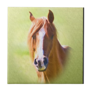 Horse Head Tile