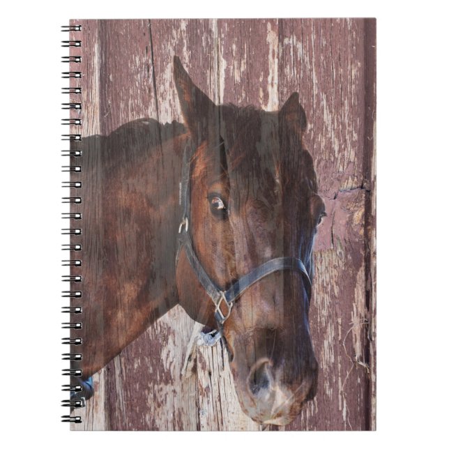 Horse Head western Look into his eyes. Notebook (Front)