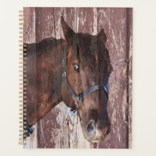 Horse head western riding. Look into his eyes. Planner