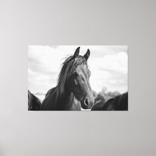 horse head wrapped canvas