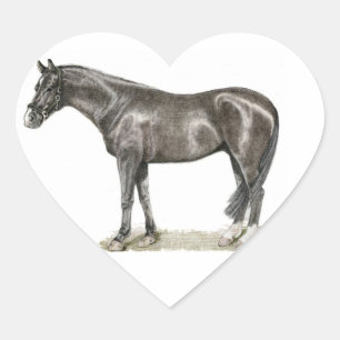 Horse Heart Sticker