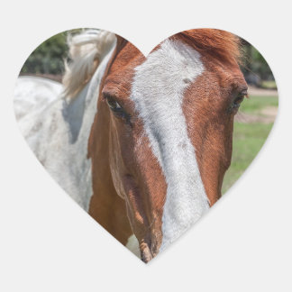 HORSE HEART STICKER