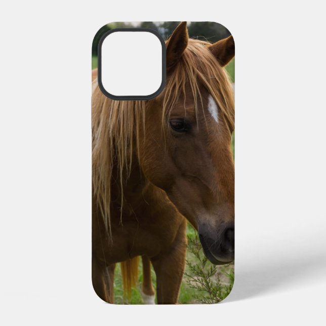 Horse Hello iPhone Case (Back)