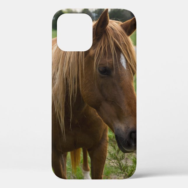 Horse Hello iPhone Case (Back)