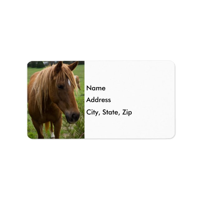 Horse Hello Label (Front)