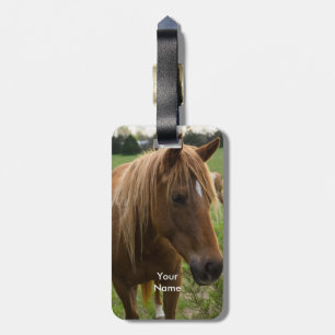 Horse Hello Luggage Tag