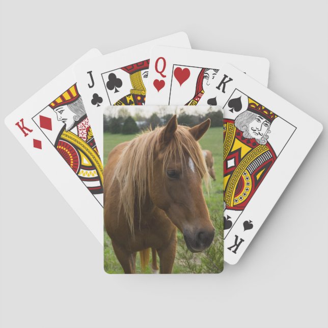 Horse Hello Playing Cards (Back)