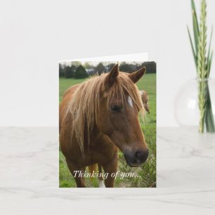 Horse Hello Thinking Of You Card