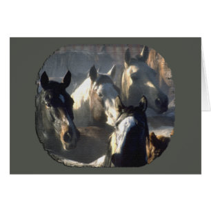 Horse Herd