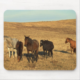 Horse Herd in the West Mouse Mat