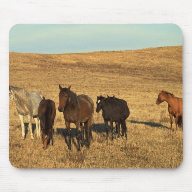 Horse Herd in the West Mouse Mat (Front)