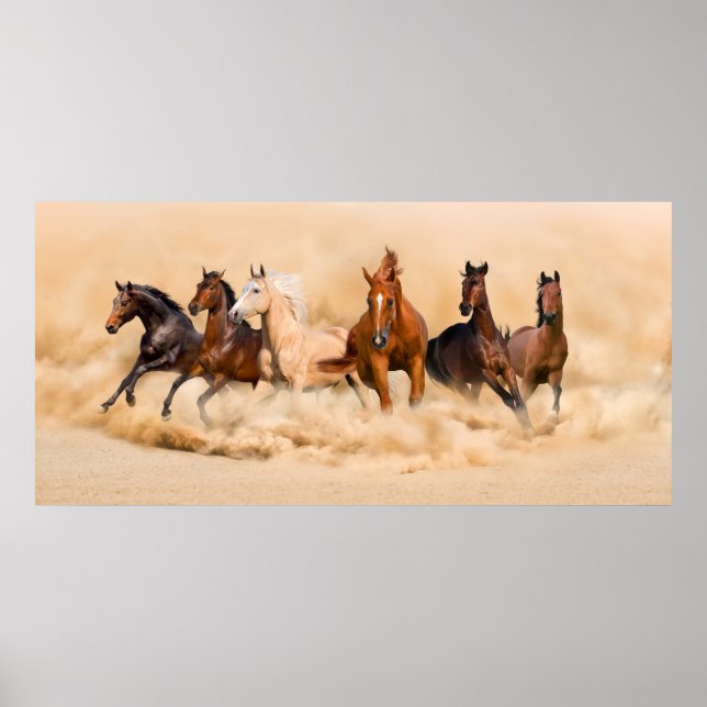 Horse herd run in desert sand storm poster (Front)