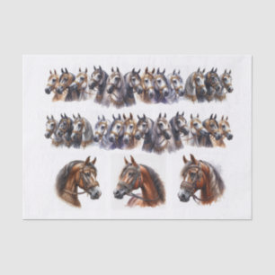 Horse Illustrations including Two Long Rows Tissue Paper