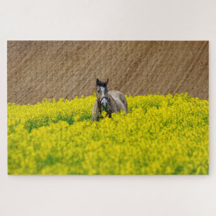Horse in a field of flowers jigsaw puzzle