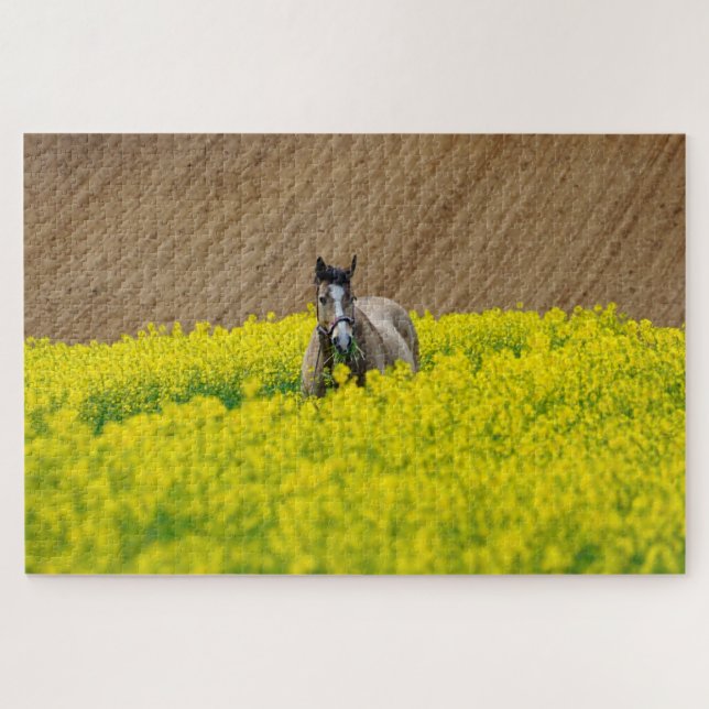 Horse in a field of flowers jigsaw puzzle (Horizontal)