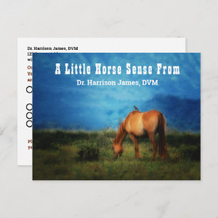 Horse in a Field Veterinary Appointment Reminder P Postcard
