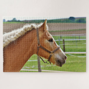 Horse in a field with a braided mane jigsaw puzzle