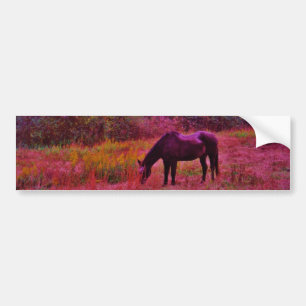 Horse in a Kaleidoscope Coloured Field Bumper Sticker