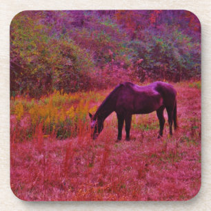 Horse in a Kaleidoscope Coloured Field Coaster