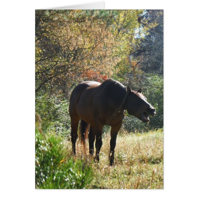 Horse in Autumn (Front)