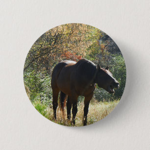 Horse in Autumn 6 Cm Round Badge